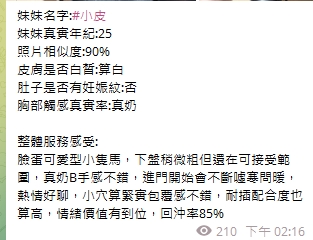 小皮12